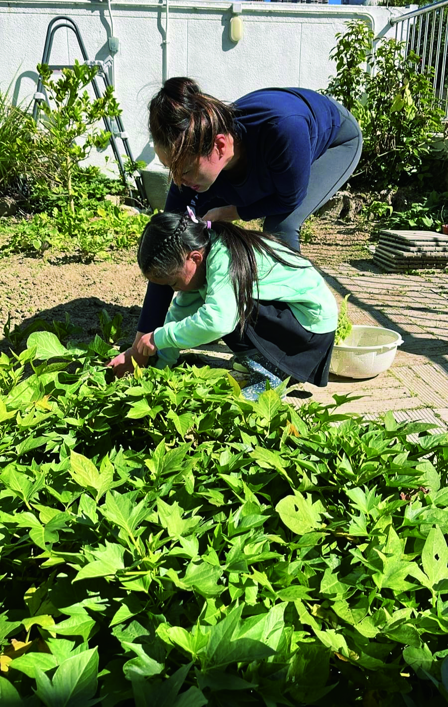 In her spare time, Winnie enjoys gardening with her family.
