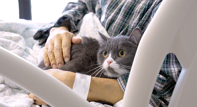 A pet accompanies a patient through life’s final chapter